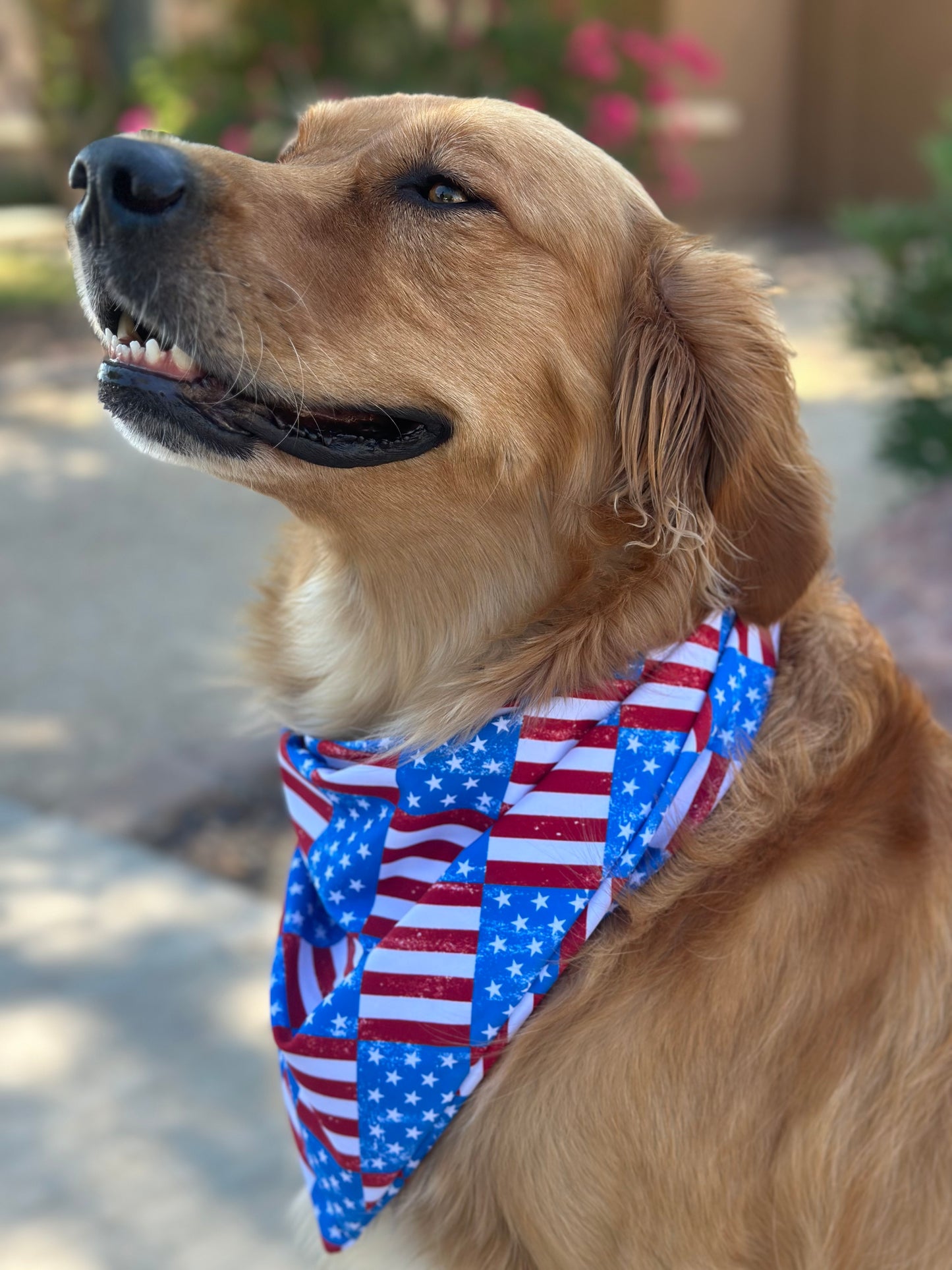 Patriotic AF